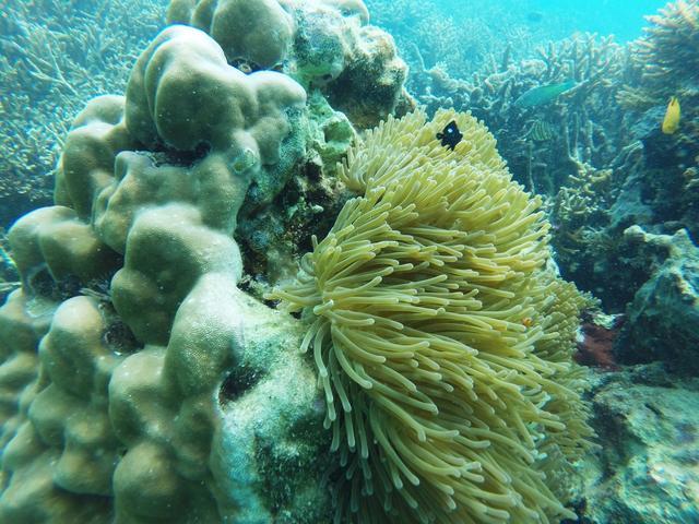 印度尼西亚巴厘岛一日游攻略,巴厘岛与雅加达旅游攻略