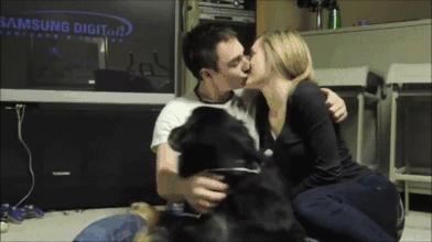 狗吃醋起来比男朋友还难哄,狗子这才是哄女朋友的正确方式