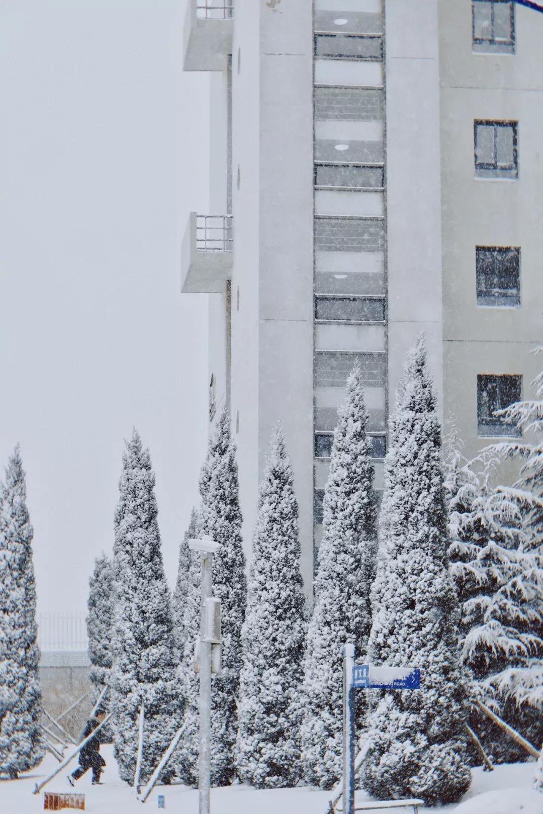 辽宁省高校(三十二)大连外国语大学