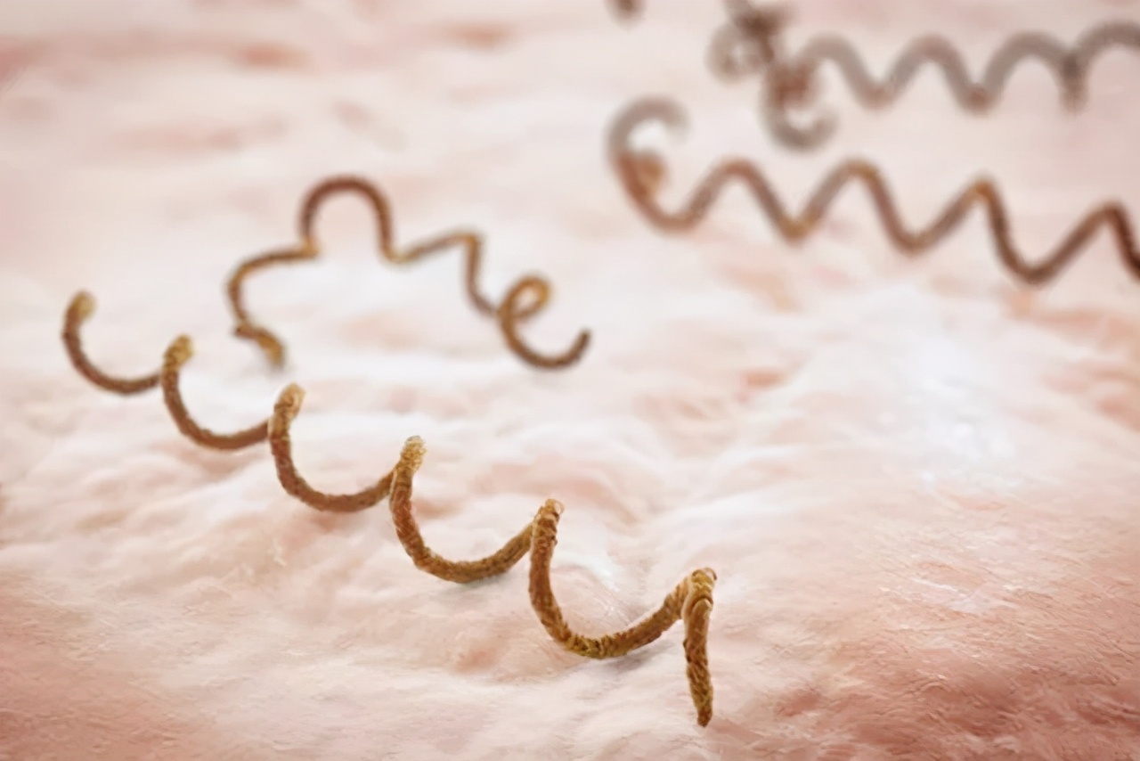 梅毒历史解说视频,历史上的梅毒怎么消灭的