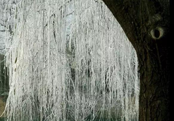 雾凇之美宛若仙境,连云港花果山雾凇美得像仙境