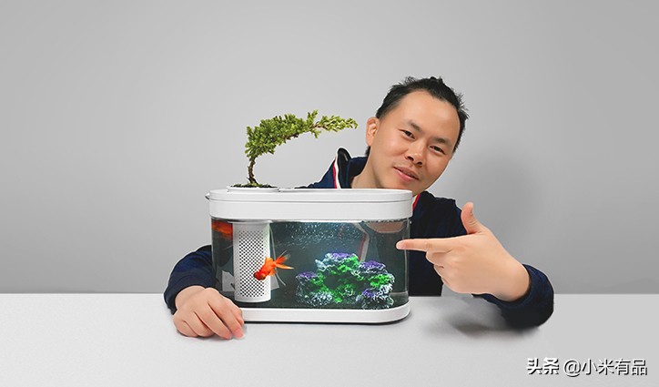 小米两栖生态鱼缸图片,小米生态小鱼缸