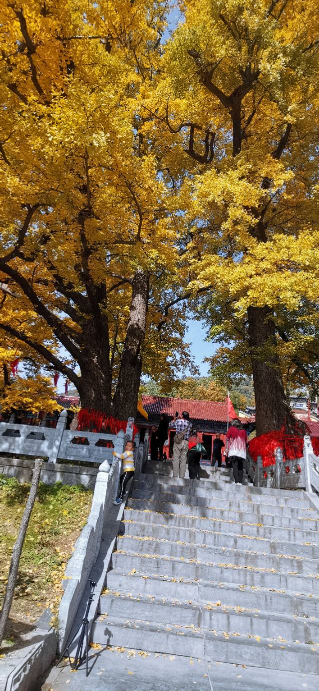 鲁山滚油锅瀑布景点,鲁山滚油锅瀑布路线