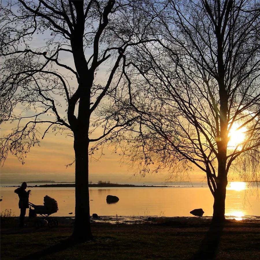 季羡林黄昏写的是什么 (季羡林黄昏简介)