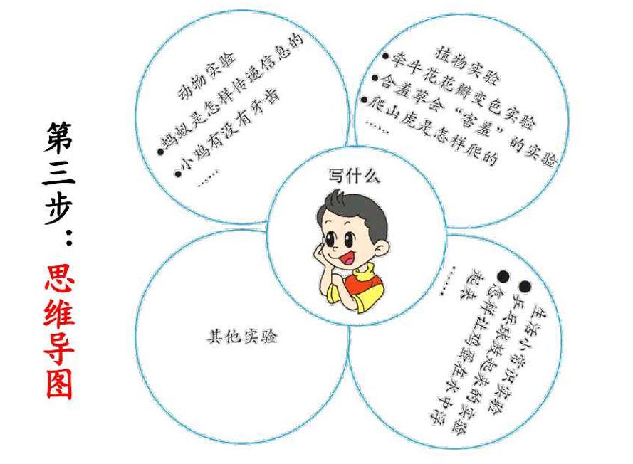 我做了一项小实验习作范文400字,习作我做了一项小实验作文评语
