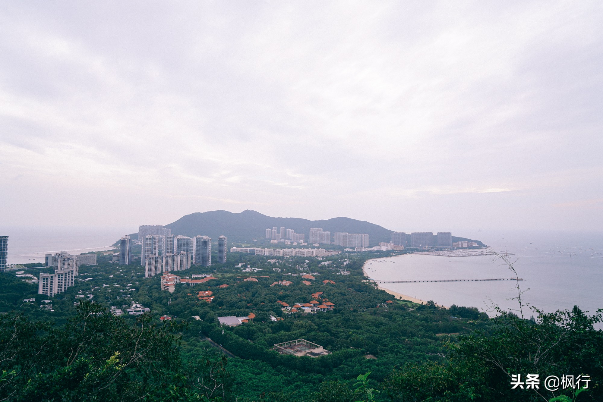 被猴子袭击，门票昂贵，拍照被轰，被我全程吐槽的三亚到底值不值