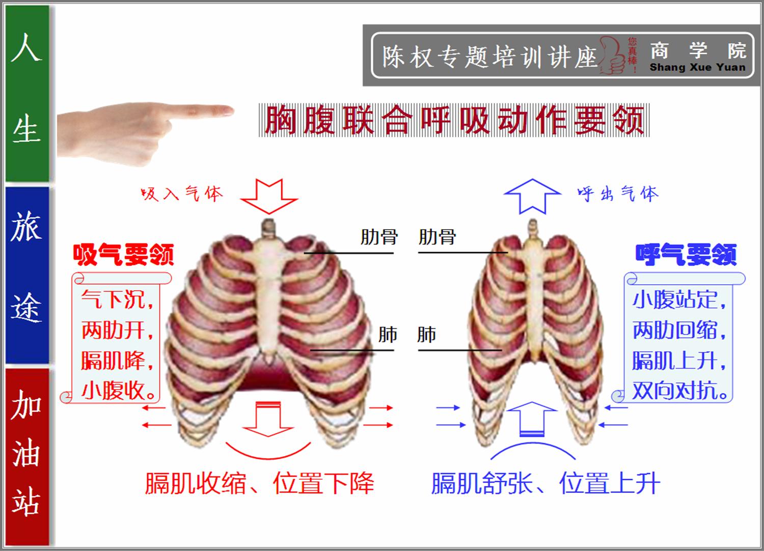 演讲气沉丹田正确练法,当众演讲怎么训练语言
