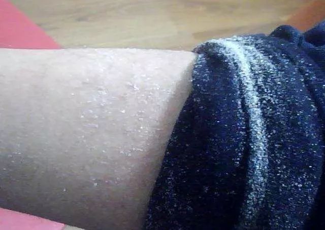 雅顿绿茶身体乳按压款真假辨别,雅顿身体乳绿茶好用吗