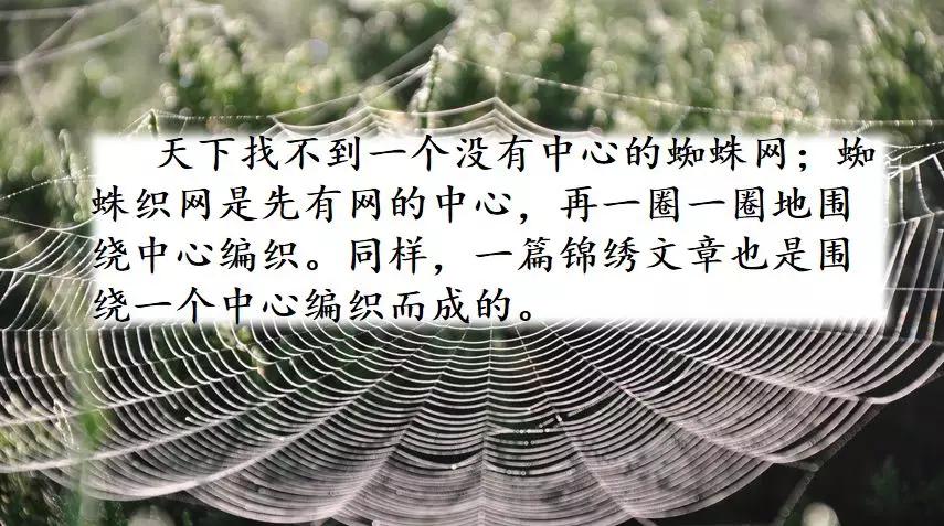 围绕中心意思写六年级作文500字,六年级上册围绕中心意思来写500字