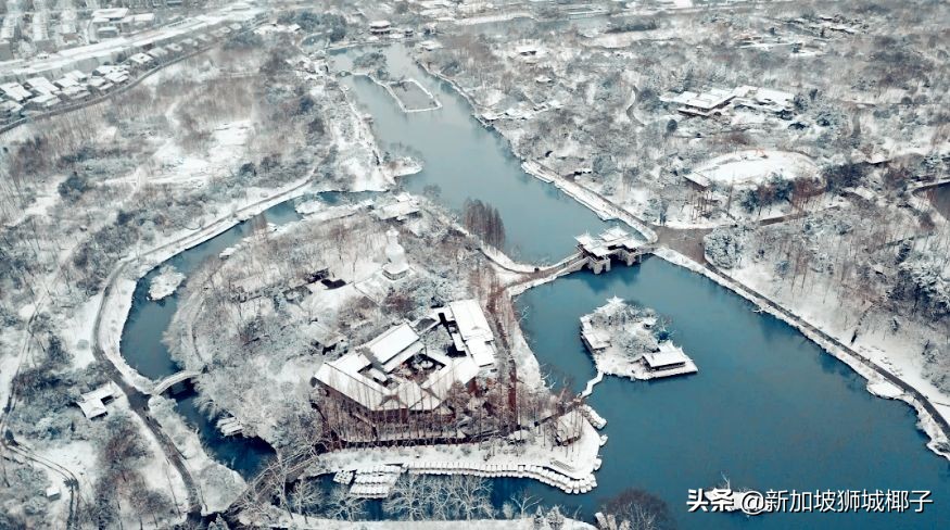 新加坡冻成狗,新加坡狂风暴雨来袭