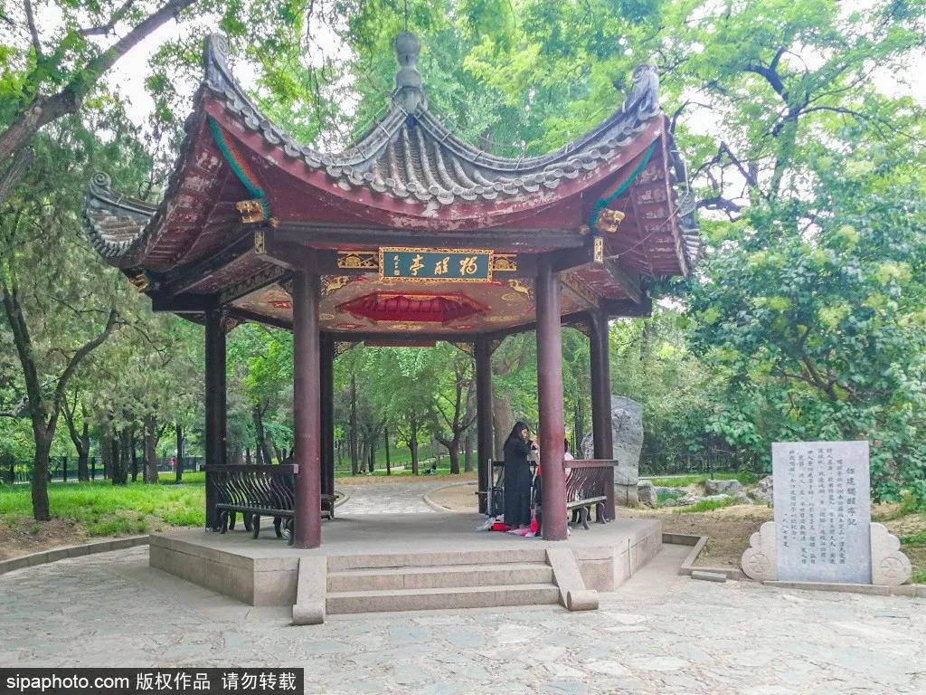 北京一处被忽视的公园景点,北京闹市藏着这样一个公园