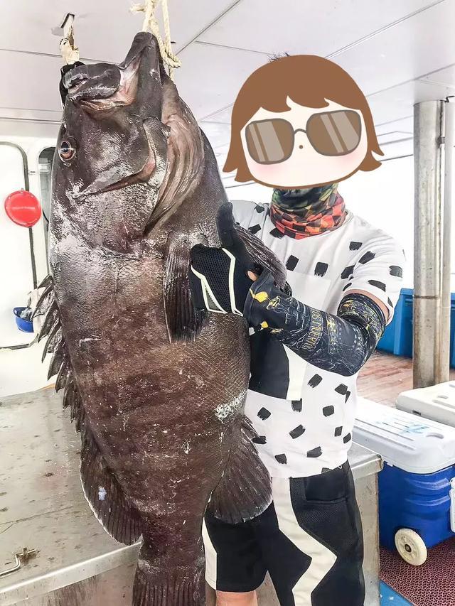 佛山古屋私房菜,佛山南庄鸡煲美食推荐团购套餐