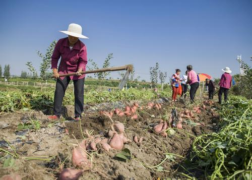 杨源水:我的三大娘