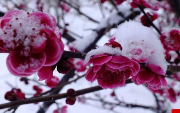 一首经典流行歌曲，差点毁掉两首流传千古的诗词