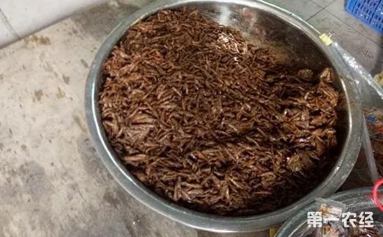 市面上一块钱一包的小辣鱼视频,一块一包的辣鱼能吃吗