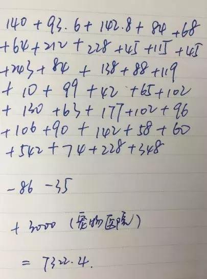 脑子一热养猫后悔怎么办,养猫后悔的原因有哪些
