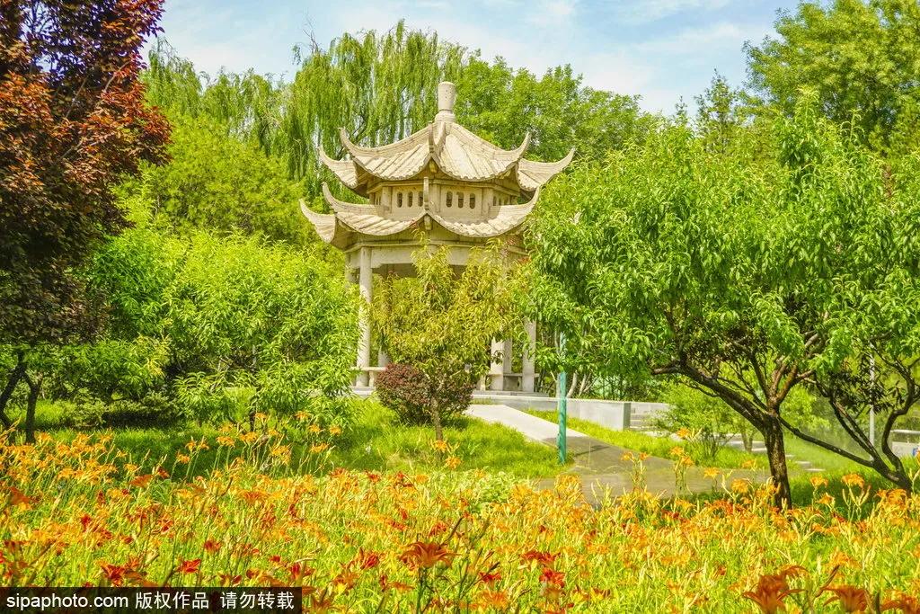 小暑福利活动,今日小暑暑热来袭如何觅得清凉