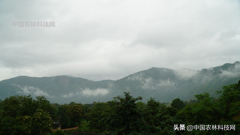 天水到大水川一日游,自驾游到天柱山停哪里最方便