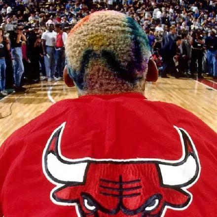 樱木花道以罗德曼为原型,樱木花道罗德曼对比