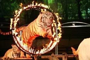 明星撞衫后的惨烈对比,明星撞衫的那些事