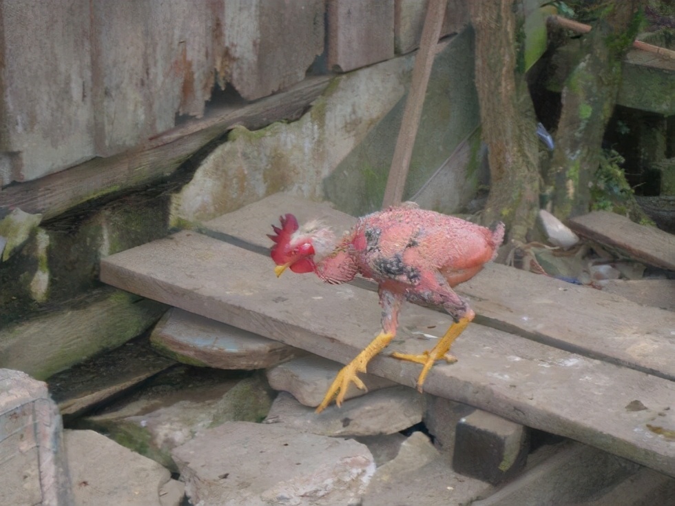 那些年你为钓鱼做过什么疯狂的事,你为钓鱼做过最疯狂的一件事