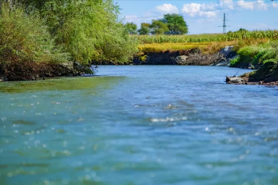 越光米和五常大米哪个好,日本越光大米
