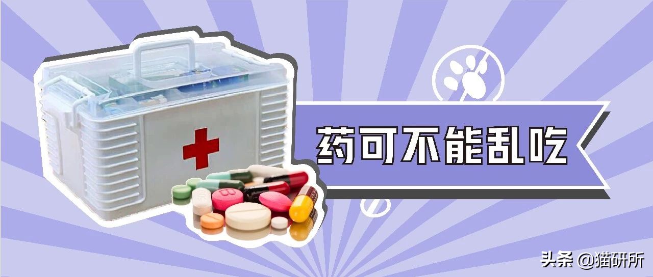 有人给猫下毒会不会有毒,猫能吃人用感冒药吗