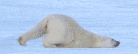 北京捡石圣地,离深圳最近的捡石圣地