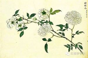 每日一典全文,每日一典