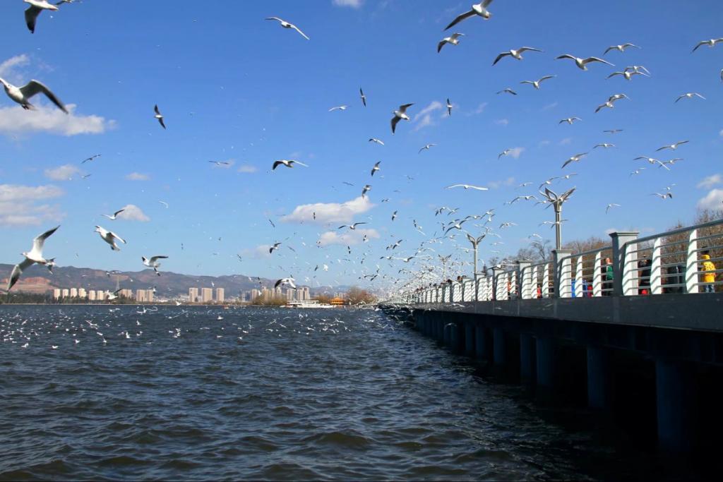 云南腾冲旅游景点十大排名,云南十大旅游景点需要的赶紧收藏