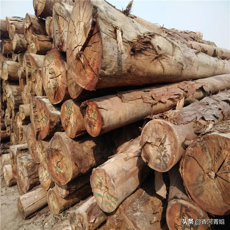 玫瑰桉板材,玫瑰桉