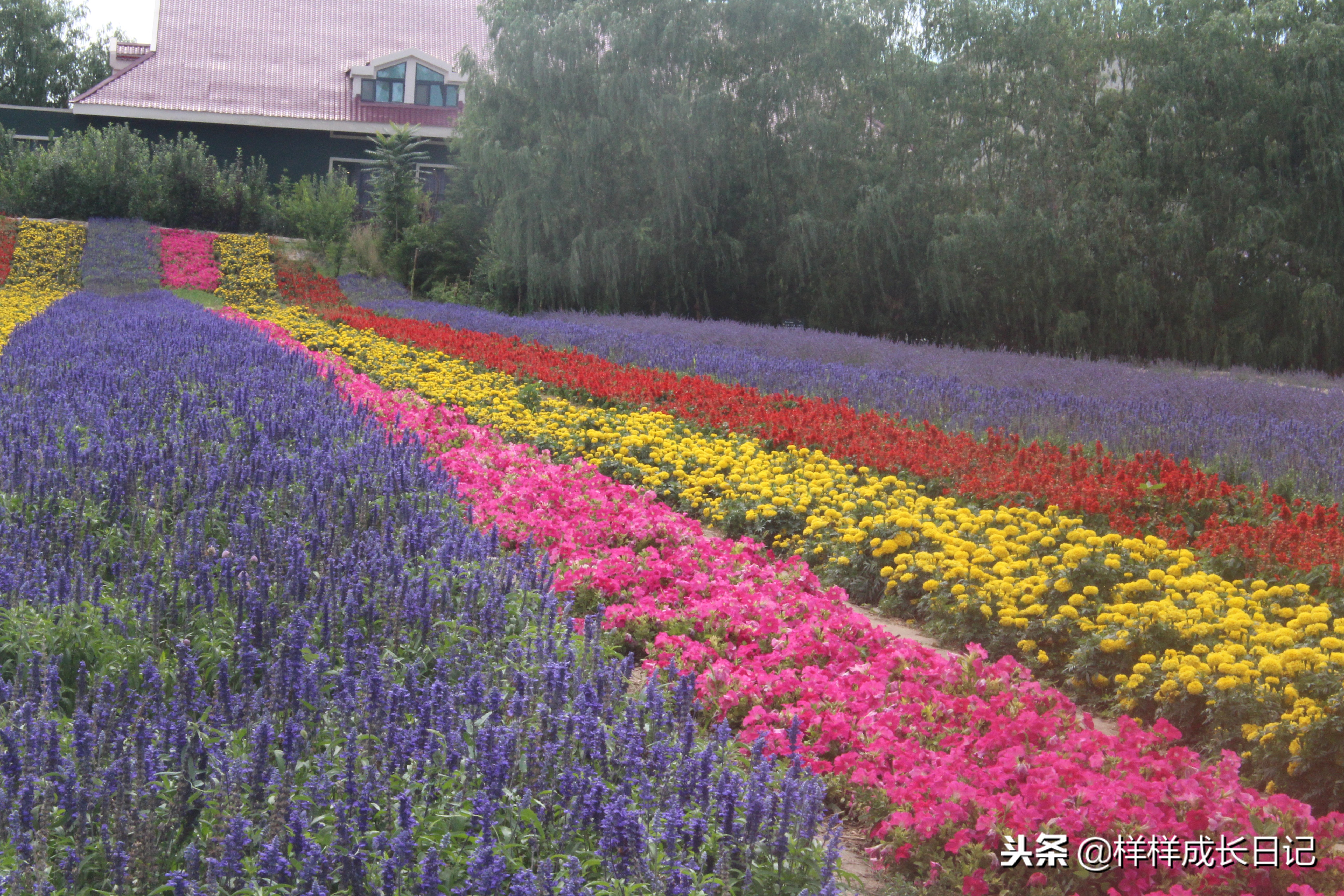 一家三口新疆伊犁旅游,自驾游霍尔果斯路线攻略