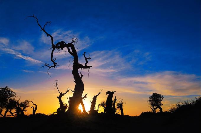 来内蒙古额济纳旗感受秋天,额济纳旗秋天最佳旅游时间