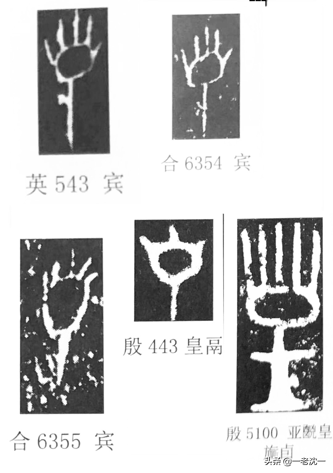 皇字的起源资料,皇字的解析