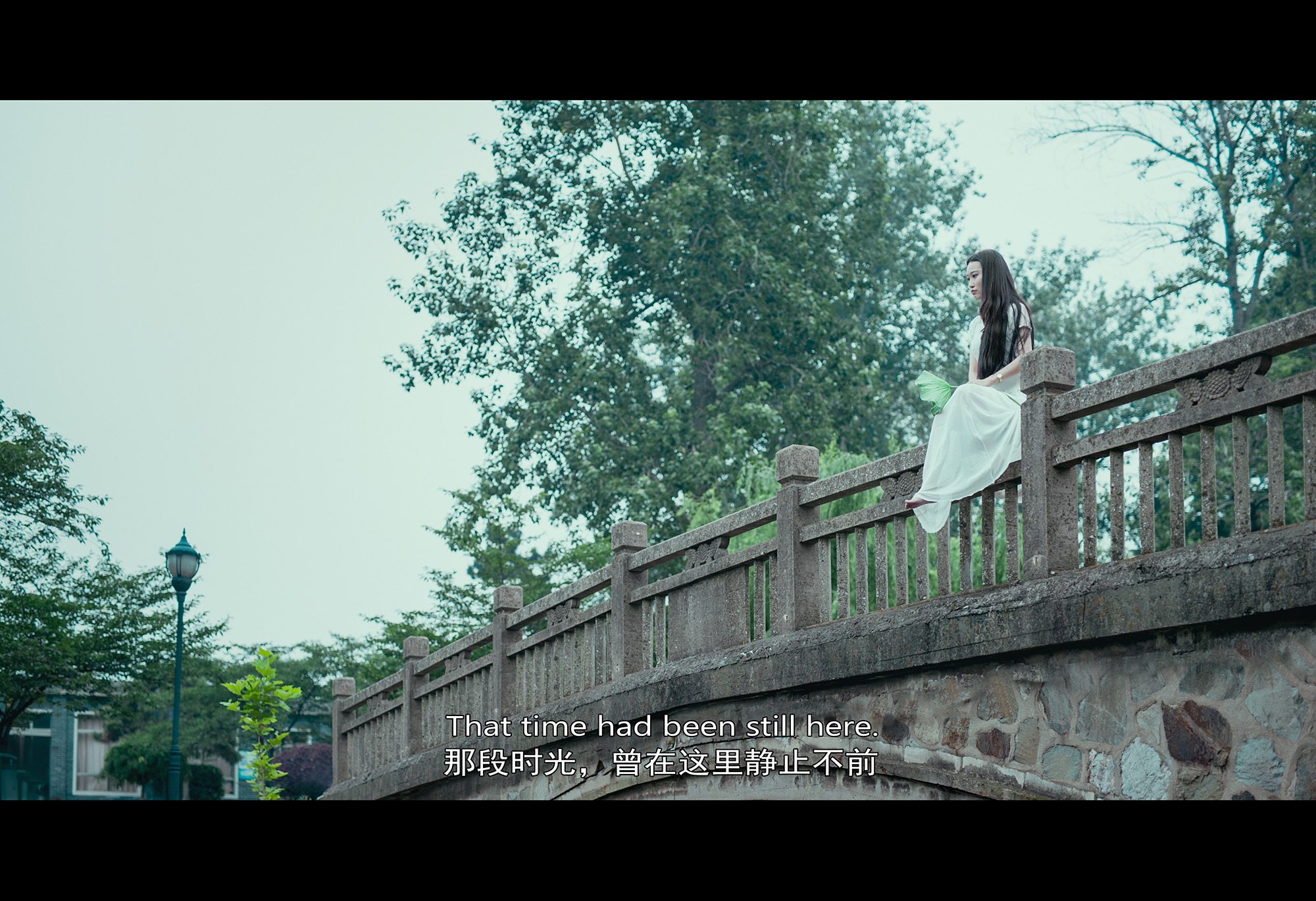 第14篇，尼康相机的标头-2021年元旦快乐