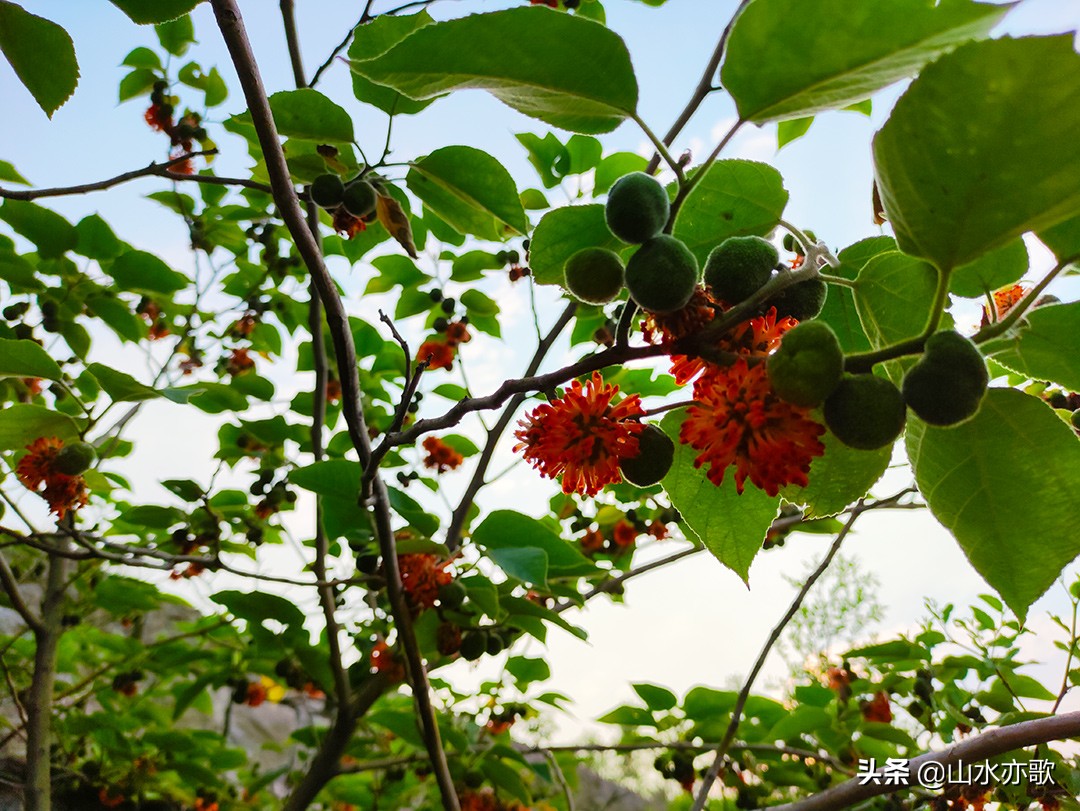 石家庄井陉，一座因唐僧晾经而得名的山岭，隐藏着两千年秦皇古道