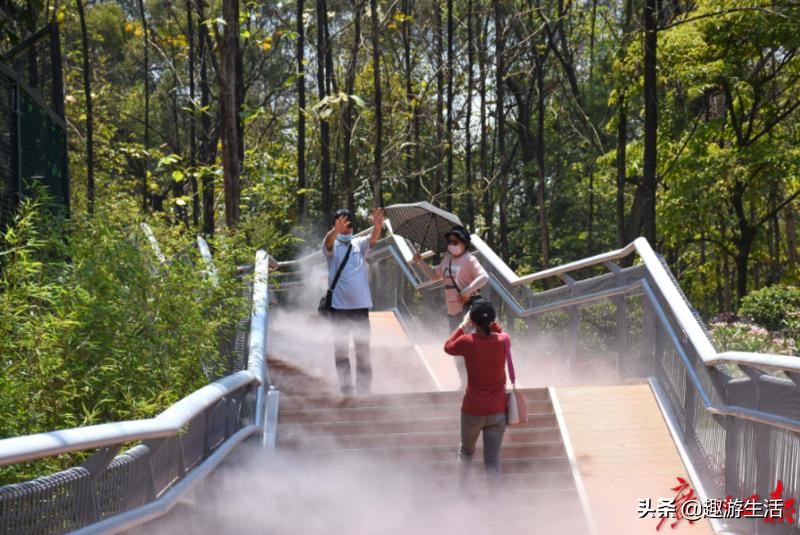 广州云道的5个入口,广州云道线路图高清版大图