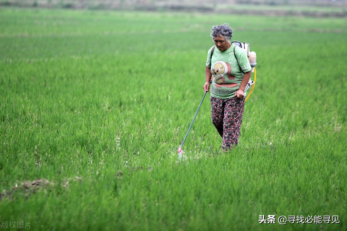 夏天是什么样子的该怎么写,夏天是什么样子的呢幼儿园