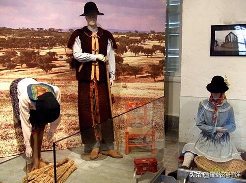 龙环葡韵拍照攻略,龙环葡韵照片