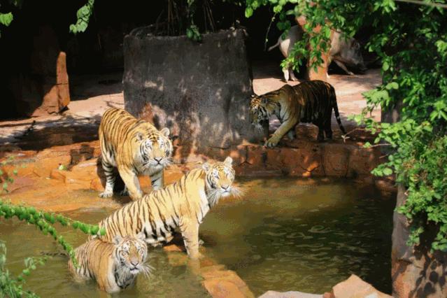 多少天能玩遍广东5a景区,广东5a旅游景点大全推荐图