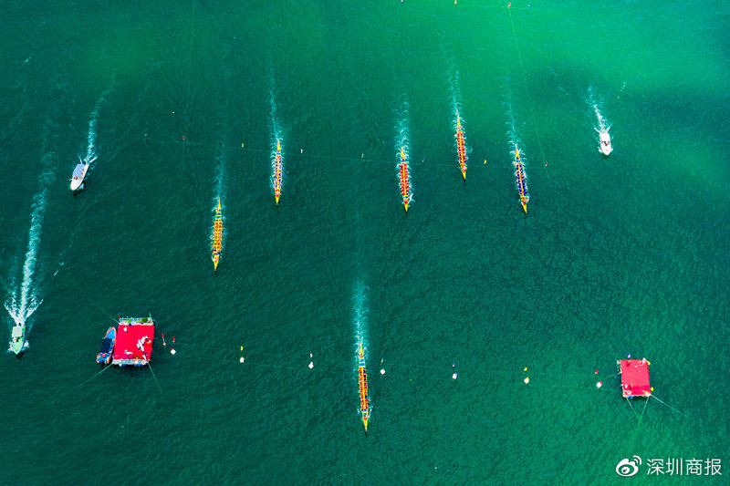 南澳龙舟赛 (深圳南澳月亮湾龙舟赛怎么去)