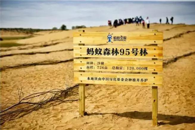 马云退休原因分析,独家揭秘马云凭什么退休