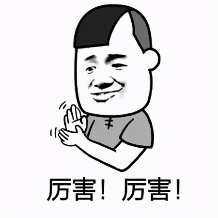 进口狗粮和国产狗粮的区别,进口猫狗粮有哪些