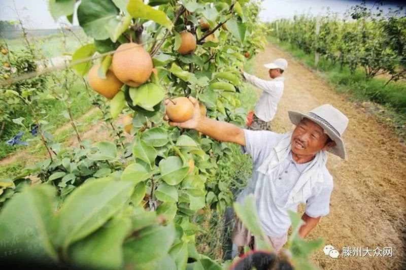 为什么要留在城市,为什么要留在家乡
