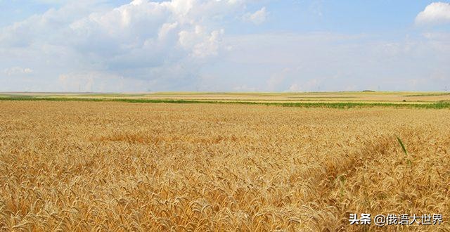 乌克兰赢下未来,乌克兰有机会反败为胜吗