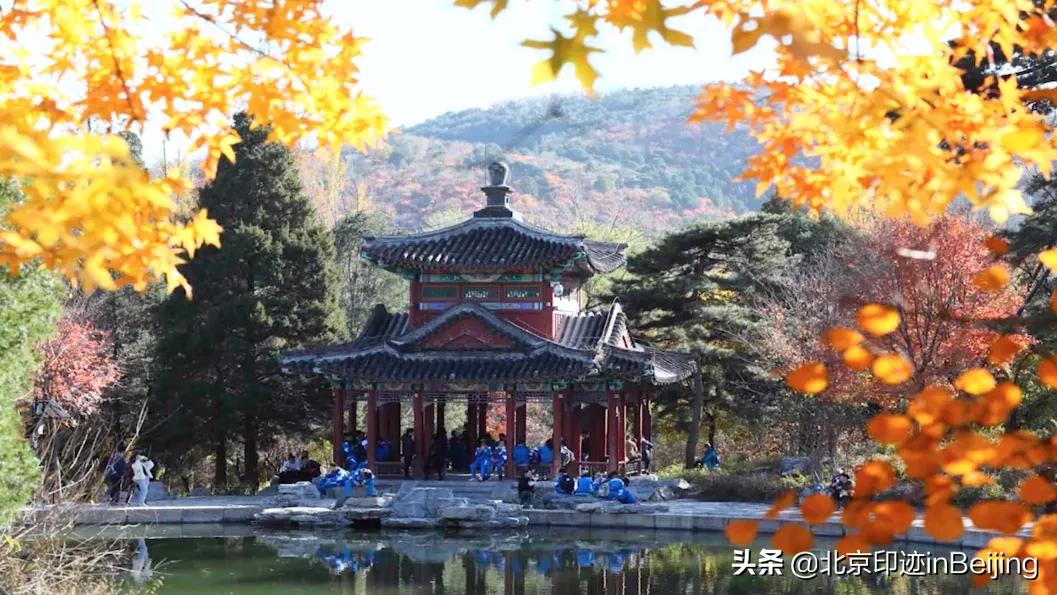 香山静宜园图片大全,香山静宜园二十八景