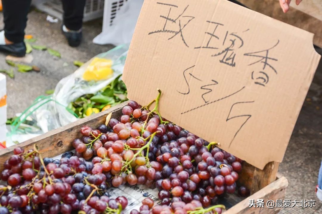 带你逛北京最大早市,北京正宗早市推荐