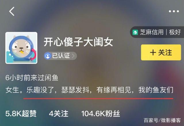 马云旗下的电商平台有哪些,马云开淘宝天猫京东是亏还是赚