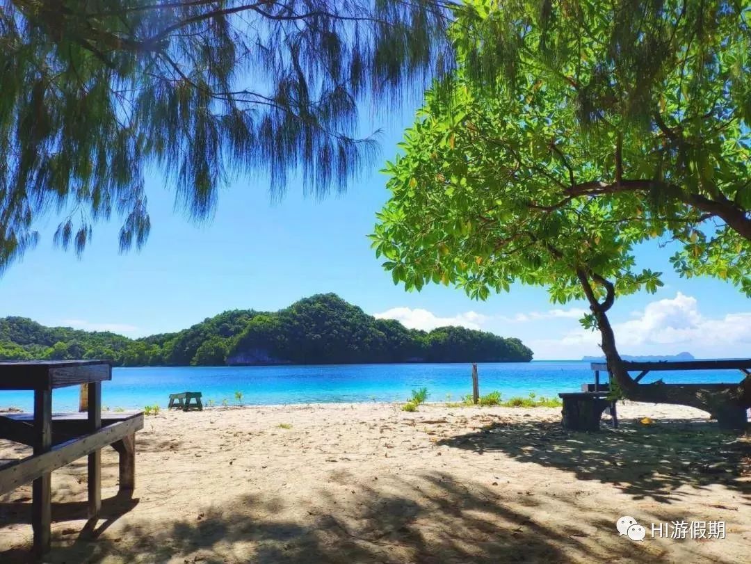 帕劳蓝洞潜水美人鱼,蓝色大海里的帕劳