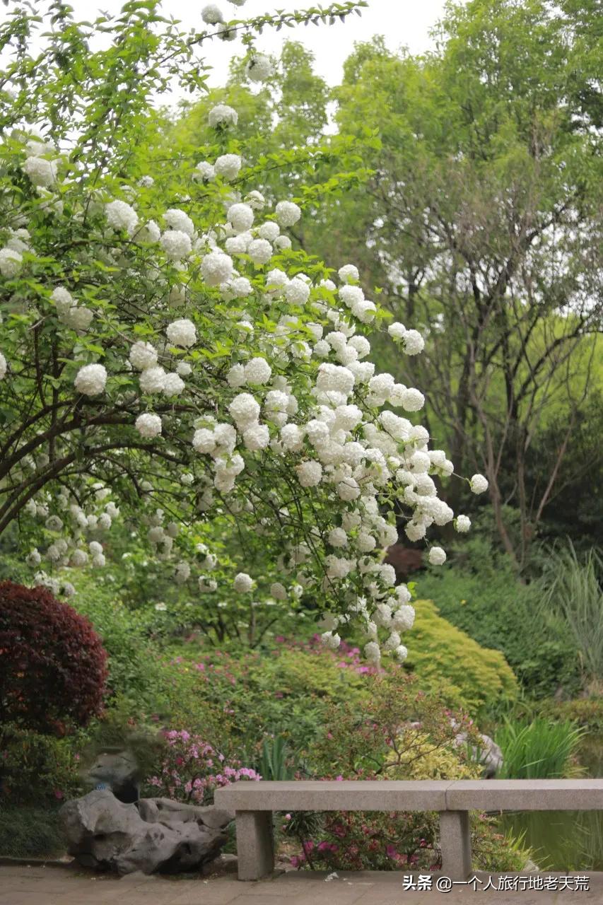 江苏这个“快乐”的城市,颜值不输苏杭,连苏东坡都在这养老